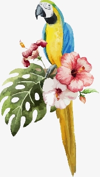 MFF: Bird of the Month Tag:  February: Parrot