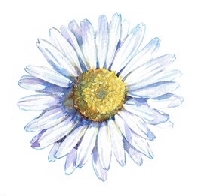 The Language of Flowers Series Swap - Daisy