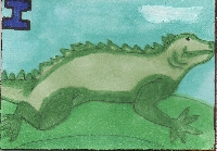 CS Animal Series: Iguana