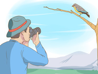 Bird Watching via PCs Swap #4