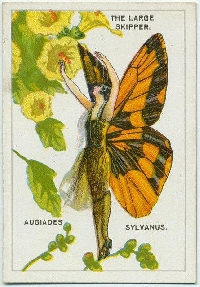 USAPC:  Butterfly Fairy Tag