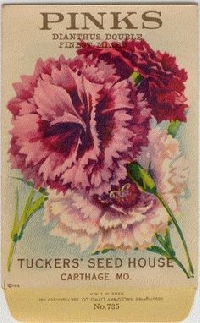 WIYM: Flowers Of The Month Jan/Feb/Mar ATCs USA