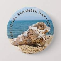 National Seashell Day - June 21