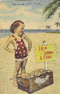 She Sells Sea Shells Postcard Swap #2