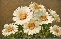 WIYM: Flowers Of The Month  April/May/Jun ATCs USA