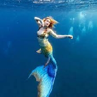 Mermaid postcards