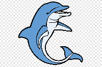 Create a piece of dolphin art