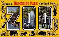 POSTCARDS FROM THE ZOO
