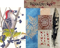 MFF:  3x5 Collaged Index Card:  Woodpecker