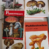 mushroom themed mini flip bookled