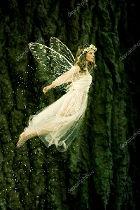 **PBP  Fairy (Fairies)  5” x 7” Page**