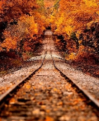 Pinterest  Fall - Autumn 