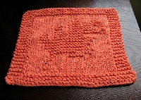 Fall Knitted Dishcloth Swap