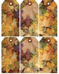 Deco Envie + 2 Tags With Autumn Theme