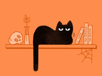 HED: A Halloween black Cat postcard