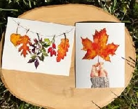 Fall / Autumn postcard ( USA & Canada )