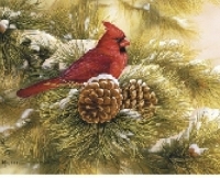 Christmas Card Swap- Bird Theme