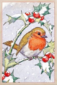 MissBrenda's Christmas Card Swap #11 US