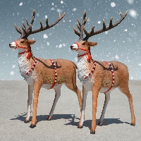 Recycled Christmas Card Postcard ~ Reindeer