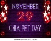 Profile Deco Swap - Chia Pet Day
