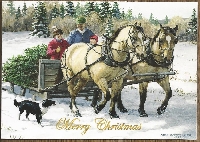 Christmas card scavenger hunt #6 HORSE 