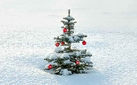 AN: Christmas Tree PC #2 (US)