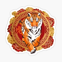 HCSI: Year of the Tiger 2022