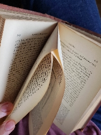 Old Book Pages