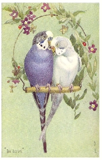 MFF: ATC with Parakeets