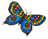 Butterflies in Spring Matchbox~Butterflies R Us