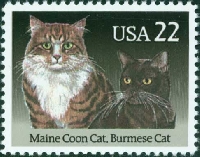WIYM: Note on kitty stationery etc. #2: USA/Canada