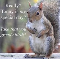 Squirrel Appreciation Day Profile decorations