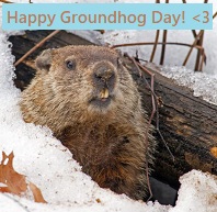 Groundhog Day profile decorations