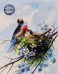 MFF:  Bird & Nest ATC