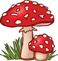 PnS: Mushroom Theme Postcard