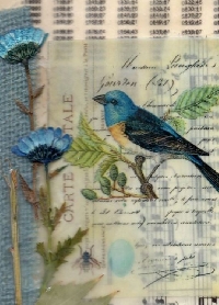 WIYM:  Postcard Art: Birds & Botanicals
