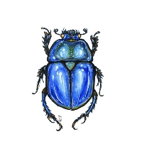 🐛 Entomology Swap 🪲
