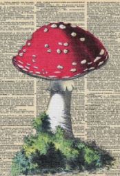 WIYM:  Postcard Art:  Book Pages & Mushrooms