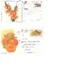 PH: Send 2 Postcards #37