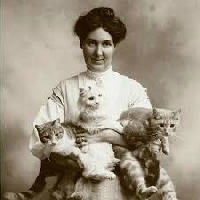AN: National Cat Lady Day PC (US)