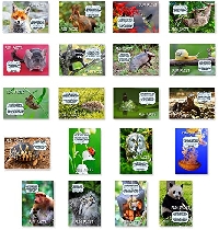 Animal Postcard & Stamp Swap