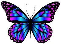 APCO: Butterfly APC Swap
