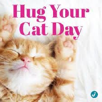 AN: National Hug Your Cat Day PC (US)