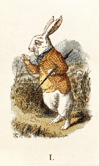 AACG: Alice in Wonderland Tag: White Rabbit