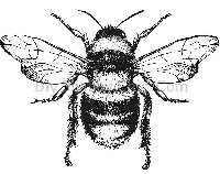 🐝 Bee ATC Swap 🐝