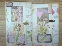 YTPC:  Botanical Book Page w/Pocket