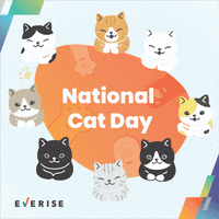 AMMM: World Cat Day postcard