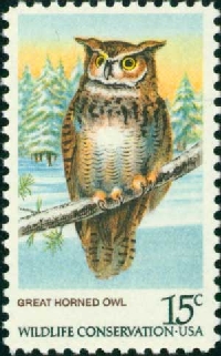 CHWH: Owl-themed notecard with note on it