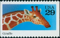 Mr. Zip: Giraffe Notecard with Note on it