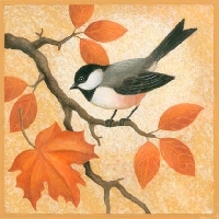 MFF: Inkbox Cards with an Autumn Bird Theme